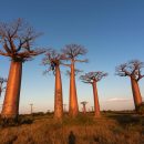 Une escapade à Madagascar