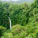 Le Costa Rica, un territoire recélant une richesse écologique exceptionnelle