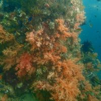 Une de mes plus belles plongées, « The Passage », à Raja Ampat…