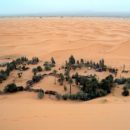 L’oasis du Tafilalet, un havre de paix en plein milieu du désert