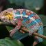 Profiter de la beauté de la nature en voyageant à Madagascar