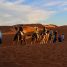 En vacances au Maroc avec des enfants