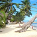 Des idées pour organiser un séjour unique sur l’île de Madagascar