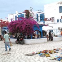 Les atouts touristiques de Djerba